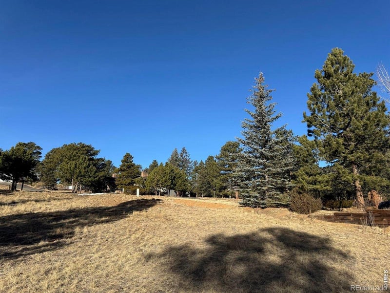 Wildwood Dr, Estes Park, CO 80517