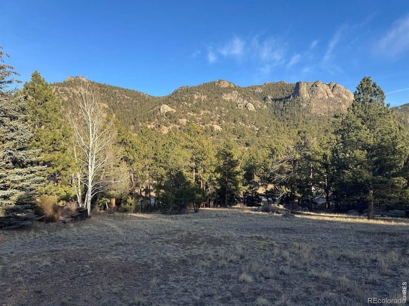 Wildwood Dr, Estes Park, CO 80517