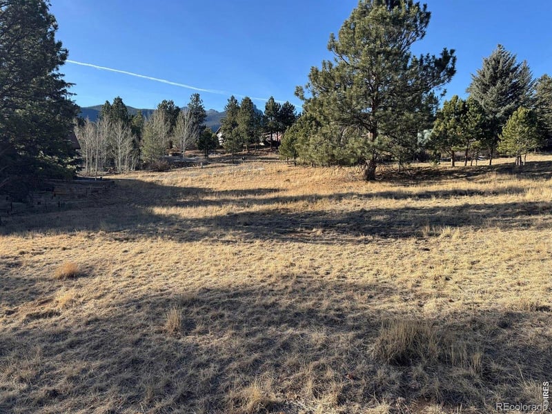 Wildwood Dr, Estes Park, CO 80517