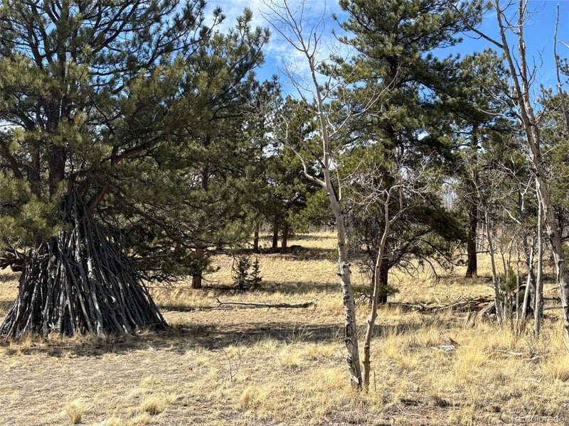 147 Bordenville Rd, Jefferson, CO 80456