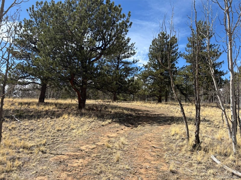 147 Bordenville Rd, Jefferson, CO 80456