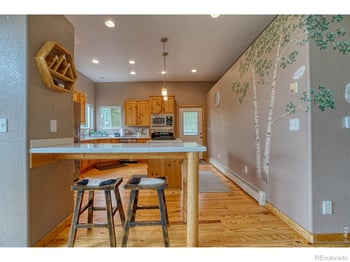 2353 Dory Hill Rd, Black Hawk, CO 80422