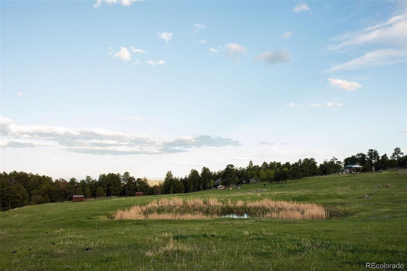 Bear Mountain Dr, Evergreen, CO 80439