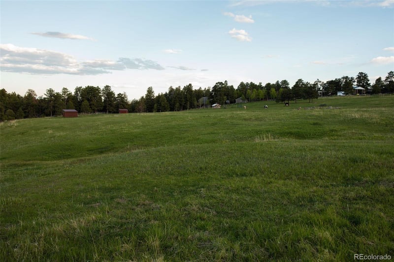 Bear Mountain Dr, Evergreen, CO 80439