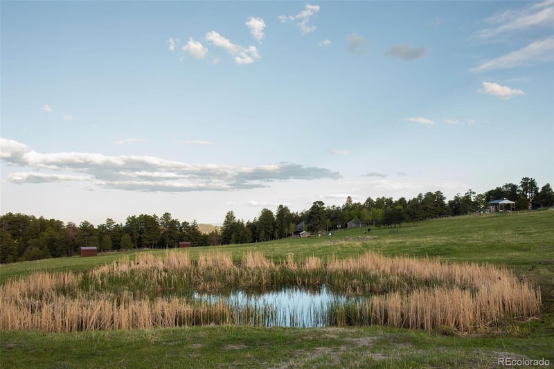 Bear Mountain Dr, Evergreen, CO 80439