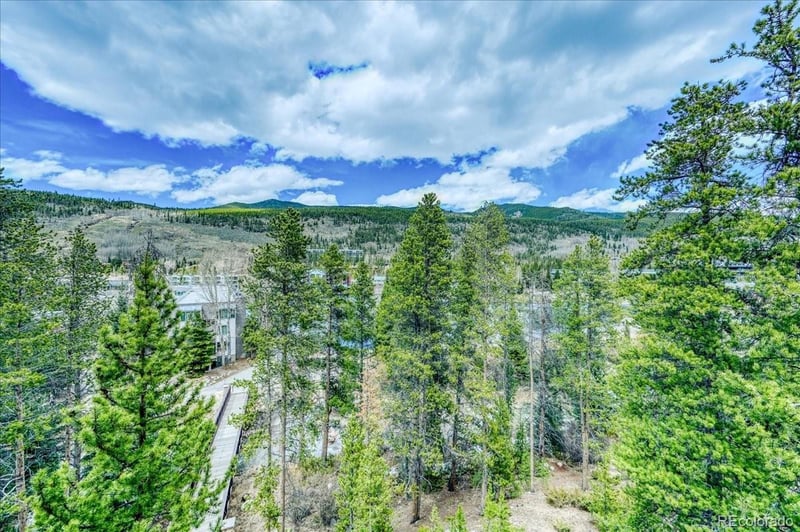 0117 Lake Ridge Cir #1863, Keystone, CO 80435