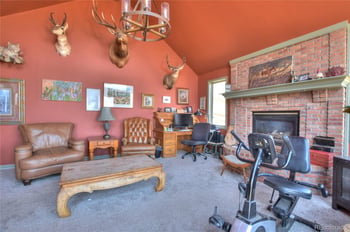 3960 County Road 5, Fairplay, CO 80440