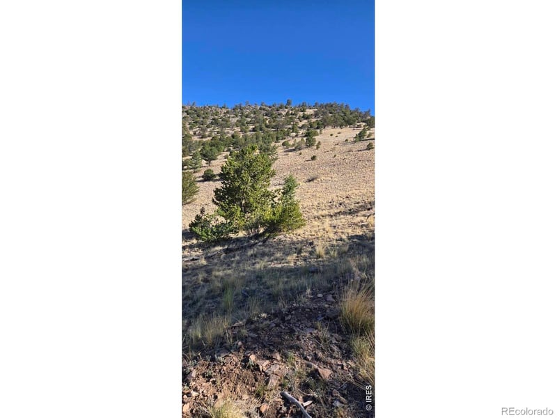 County Road 41g #Camero Road, Center, CO 81125