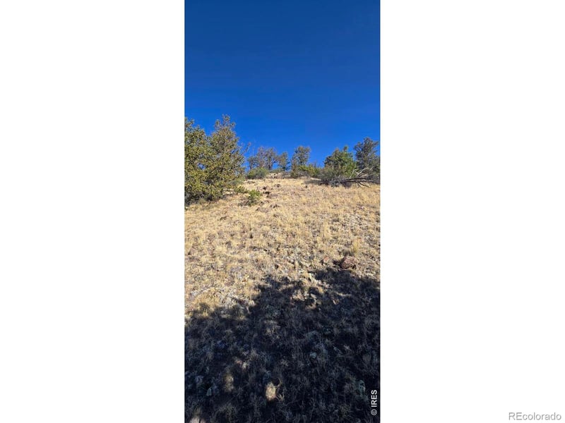 County Road 41g #Camero Road, Center, CO 81125