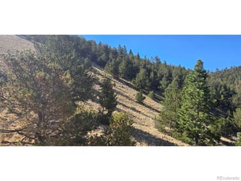 0 County Road 41g #Camero Road, Center, CO 81125