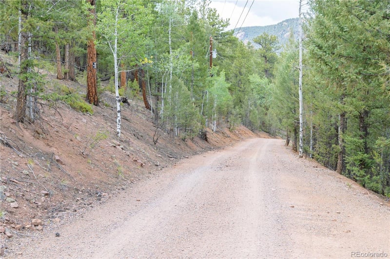12397 Cindy Ave, Pine, CO 80470