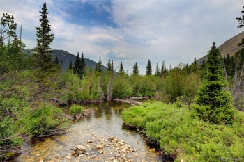 9562 Co Rd 18, Fairplay, CO 80440