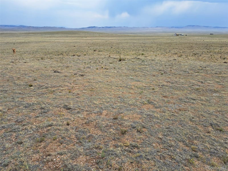 341 Sioux Rd, Hartsel, CO 80449