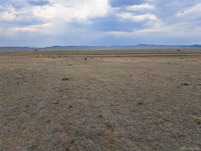 279 Sioux Rd, Hartsel, CO 80449