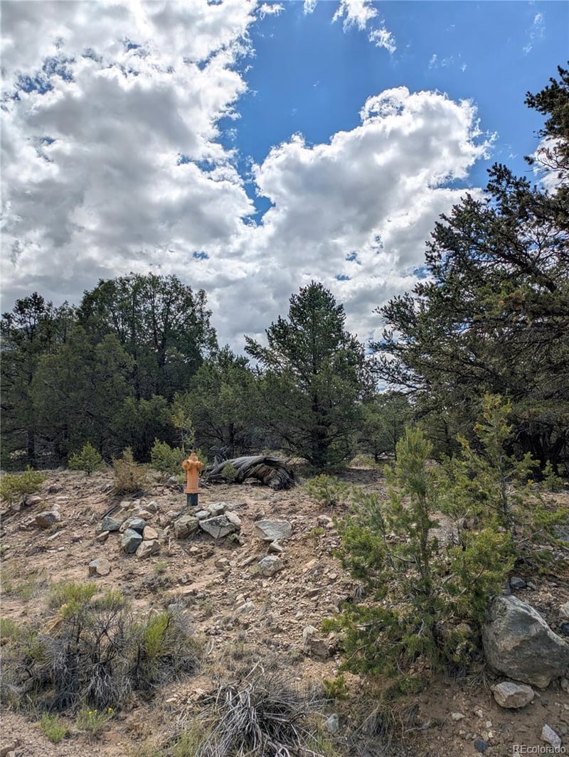 1842 Lone Pine Way, Crestone, CO 81131