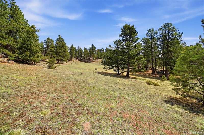 7070 Cr 1 , Cripple Creek, CO 80813