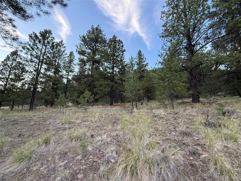 2 Beaver Trl, Antonito, CO 81120