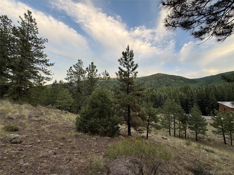 2 Beaver Trl, Antonito, CO 81120
