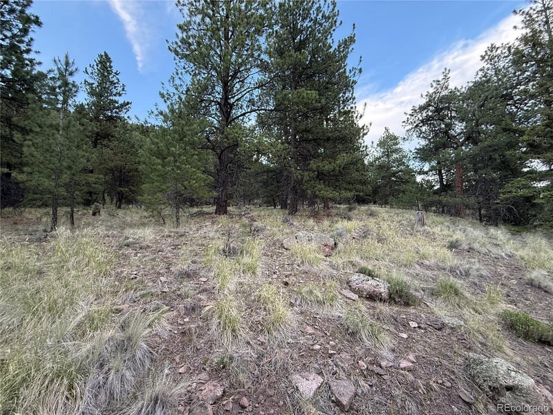 2 Beaver Trl, Antonito, CO 81120