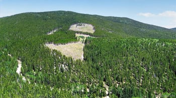 Fool's Luck, Black Hawk, CO 80422