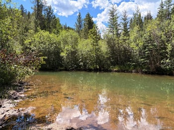 Fool's Luck, Black Hawk, CO 80422