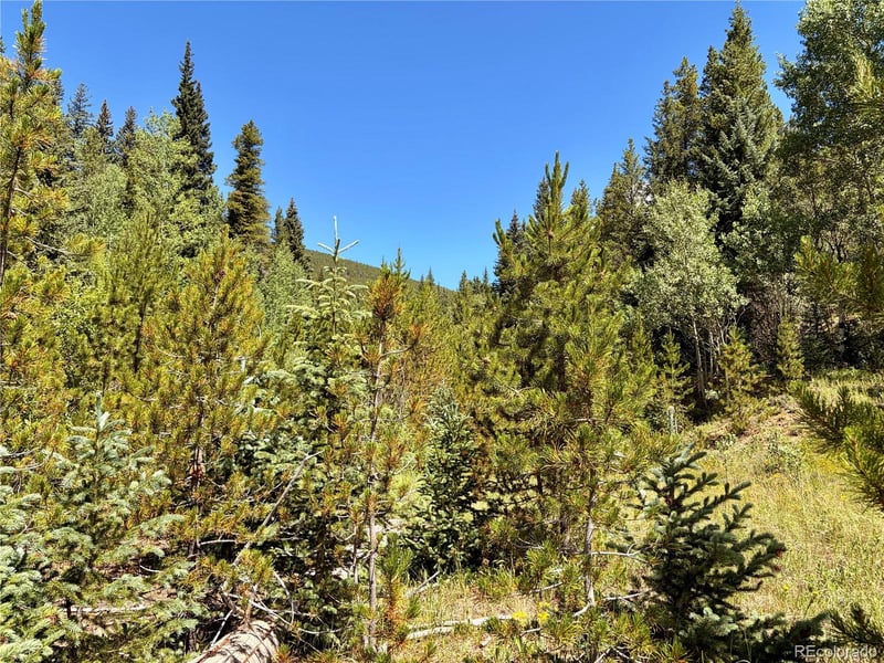 Fool's Luck, Black Hawk, CO 80422