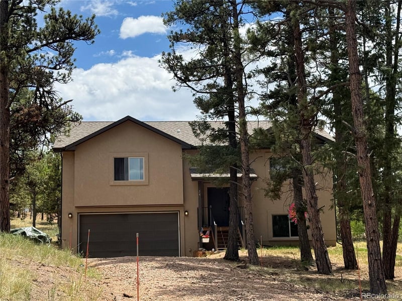 24 Big Horn Cir, Florissant, CO 80816