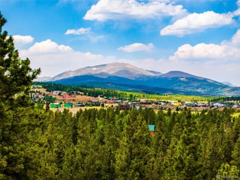 163 Meadow View Ln, Fairplay, CO 80440
