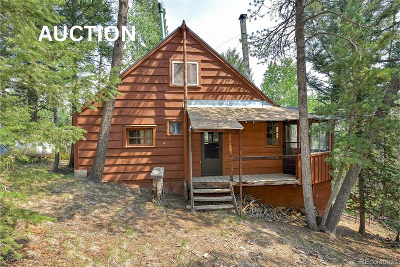 114 Mt Powderhorn Ln, Florissant, CO 80816