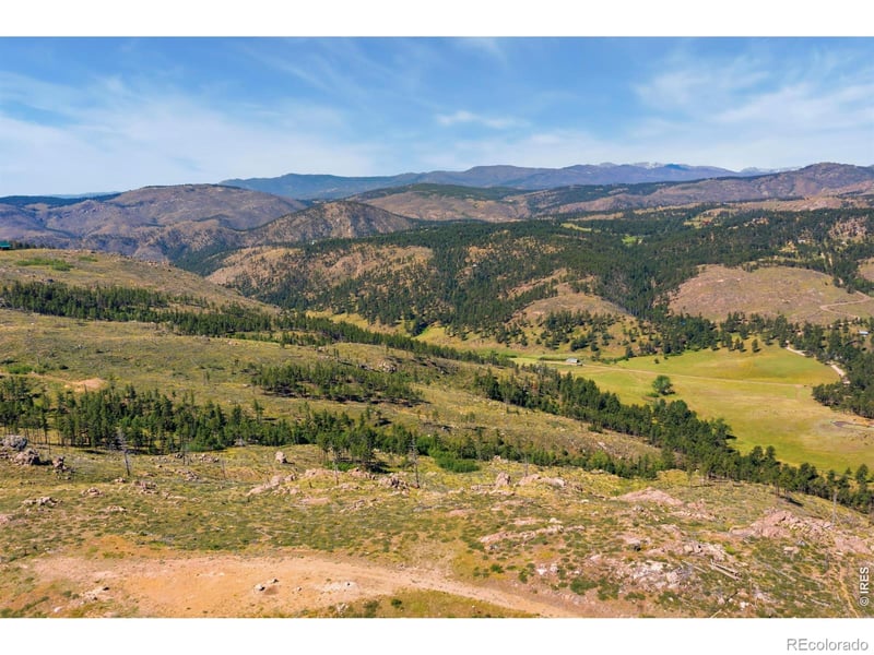 1351 Walking Wind Dr, Bellvue, CO 80512