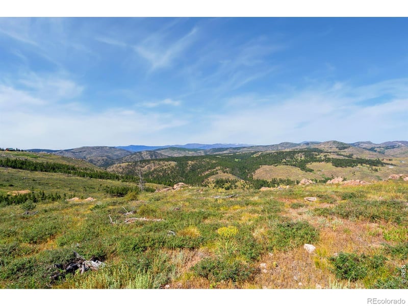 1351 Walking Wind Dr, Bellvue, CO 80512