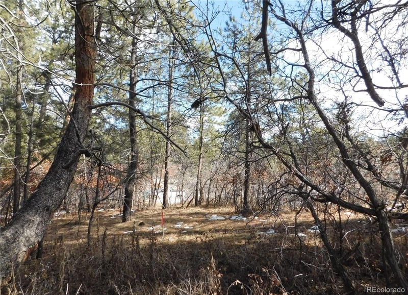 1025 Tenderfoot Dr, Larkspur, CO 80118