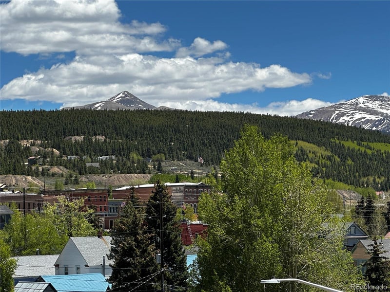 304 7th St lot 2A, Leadville, CO 80461