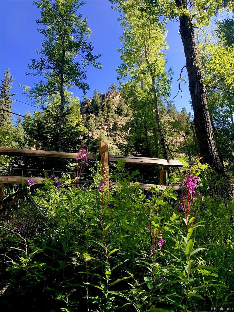 4421 Colorado Hwy 103, Idaho Springs, CO 80452