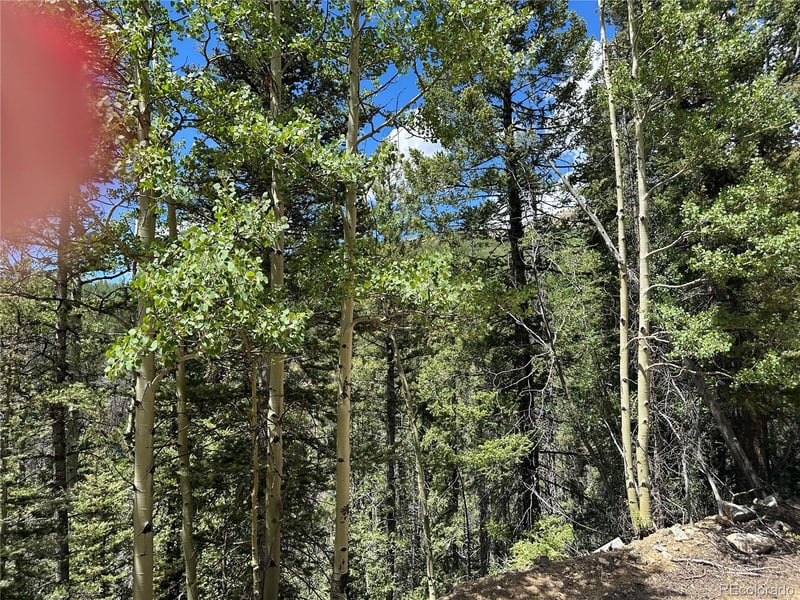 Ryland Rd, Fort Garland, CO 81133