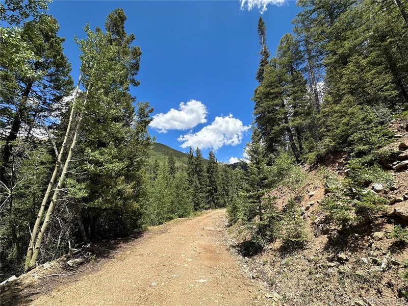Preast , Fort Garland, CO 81133
