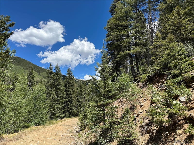 6622 Clinton Rd, Fort Garland, CO 81133