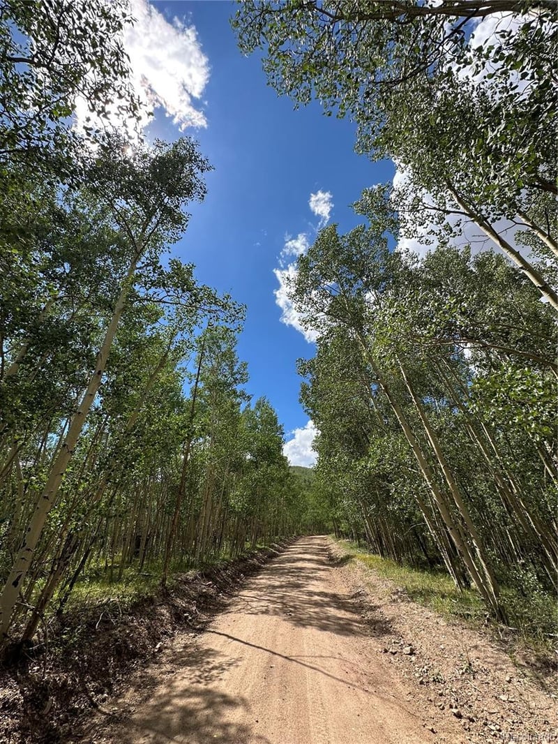 6622 Clinton Rd, Fort Garland, CO 81133