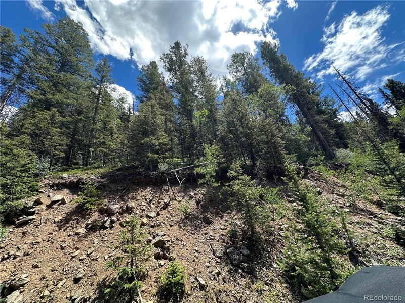 6622 Clinton Rd, Fort Garland, CO 81133