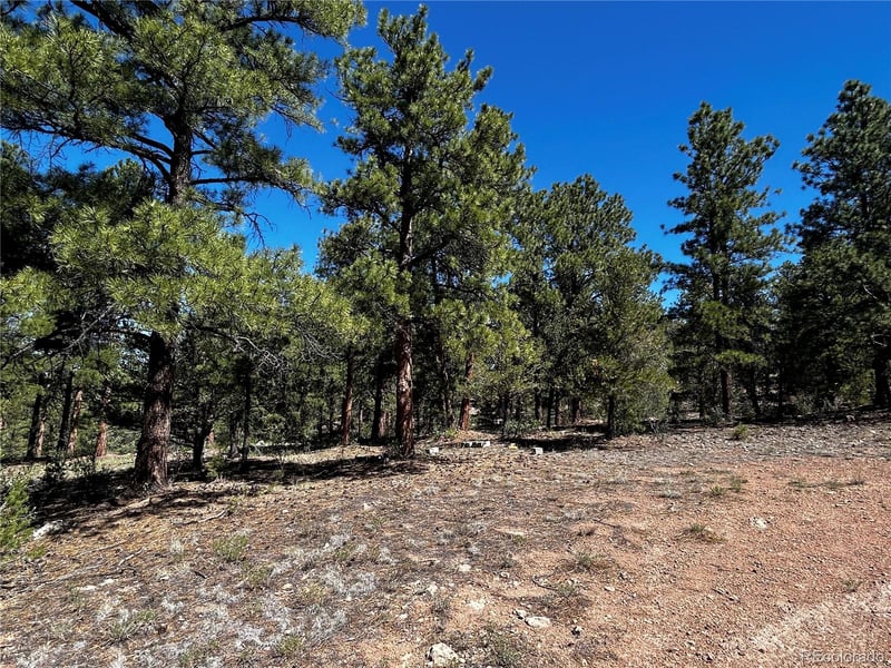 960 Oak Dr, Westcliffe, CO 81252