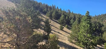 0 County Road 41g, Center, CO 81125