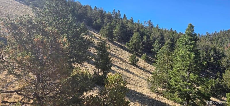 County Road 41g, Center, CO 81125