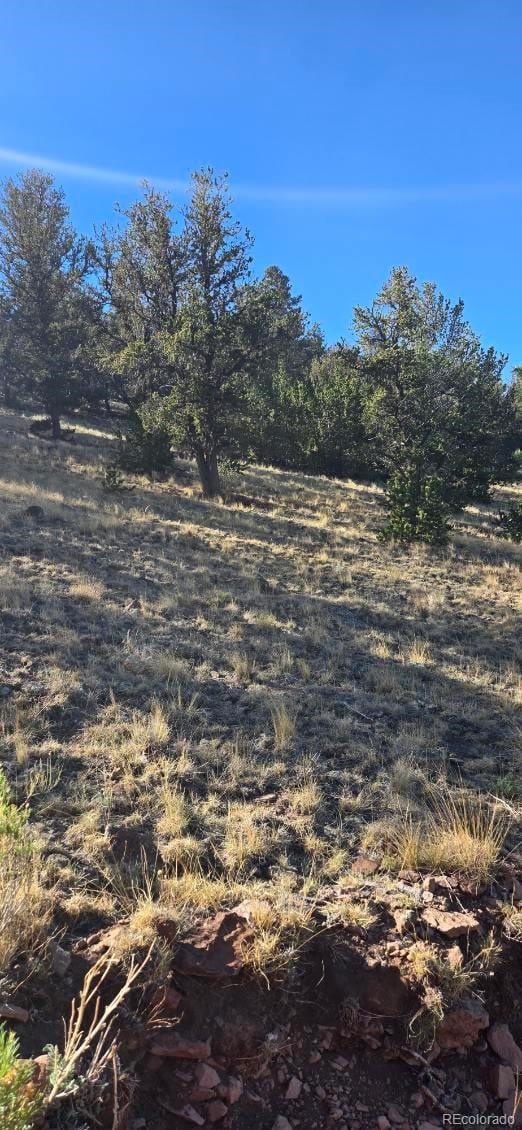 County Road 41g, Center, CO 81125