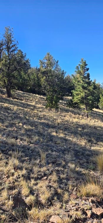0 County Road 41g, Center, CO 81125