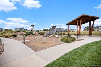 1172 Basalt Ridge Loop, Castle Rock, CO 80108