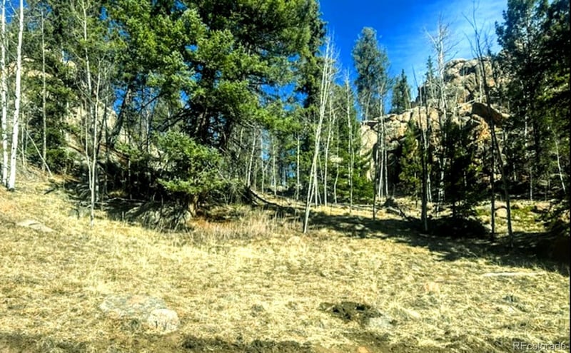 987 Eagle Rock Rd, Florissant, CO 80816