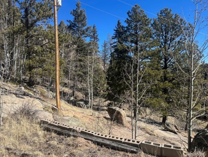 987 Eagle Rock Rd, Florissant, CO 80816