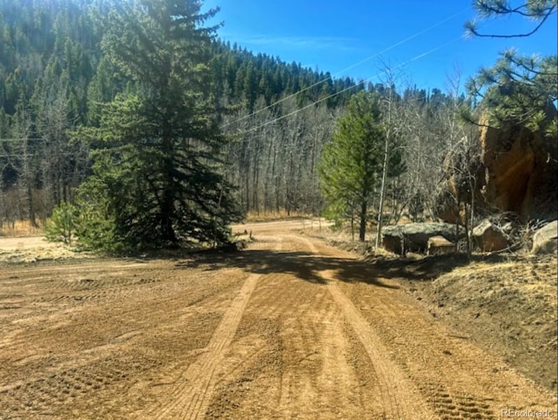 987 Eagle Rock Rd, Florissant, CO 80816