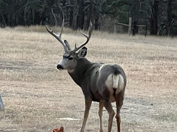 24124 Agate Trl, Deer Trail, CO 80105
