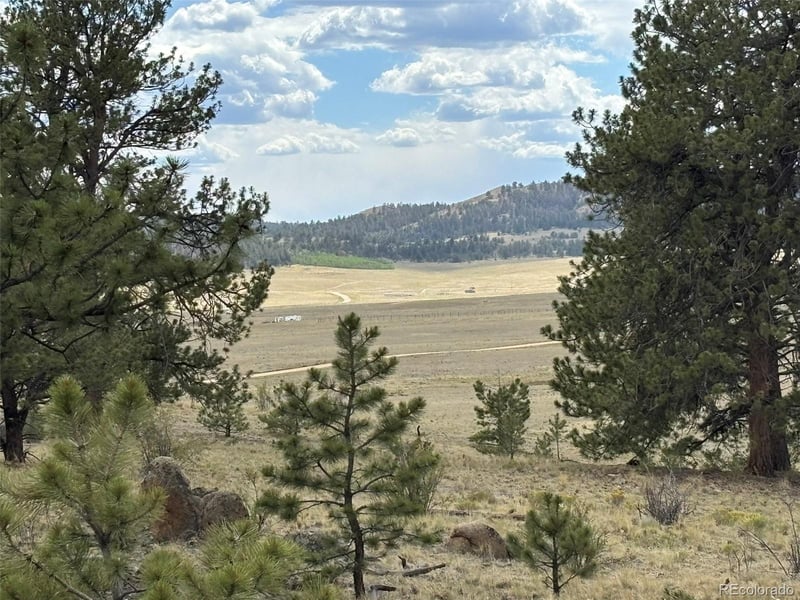 99 Arapaho Ct, Hartsel, CO 80449